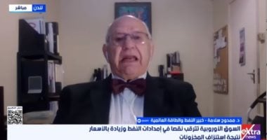 خبير نفط لـ إكسترا نيوز: إغلاق مضيق هرمز يهدد الاقتصاد العالمي