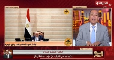 نائب بحماة الوطن لـ الحياة اليوم: قانون الأسرة يستهدف حماية تماسك الأسر
