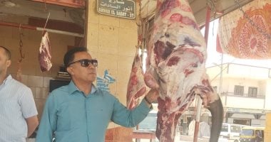 ضبط 1500 كيلو لحوم ودواجن فاسدة ومجهولة المصدر بالإسماعيلية
