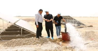محافظ الوادي الجديد: فتح باب التقديم لمشروع الواحات الخضراء بعد إجازة عيد الأضحى