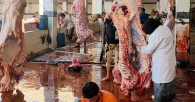 أضاحى العيد