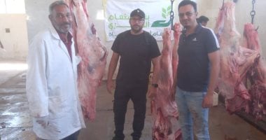 فى ثالث أيام العيد.. ذبح 65 عجلا بمجازر الأقصر وتوزيع لحومها على 13000 أسرة مستحقة