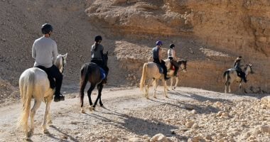 سفارى الخيول فى الأٌقصر