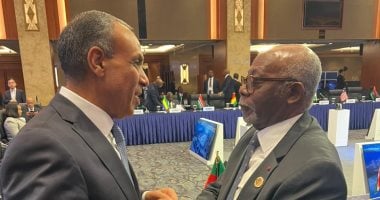 وزير الخارجية يلتقى نظيره الكاميرونى لبحث تعزيز العلاقات الثنائية