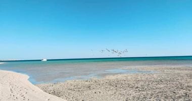 أبو منقار.. الجزيرة البحرية الأقرب لسواحل الغردقة والامتداد المنفصل عنها منذ سنوات.. تحتضن أكبر تجمعات المانجروف بالجزر الشمالية وملاذ للطيور المهاجرة والمقيمة.. وتحيط بها الدلافين والسلاحف البحرية.. صور