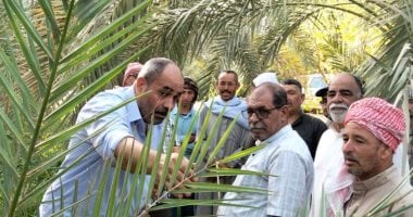 إنتاج 5 ملايين شجرة نخيل بالوادي الجديد