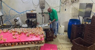 ضبط 5 أطنان مخلل بدون بيانات ومستحضرات تجميل مجهولة المصدر بالإسكندرية