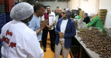 مركز التكوين المهنى بالوادى الجديد
