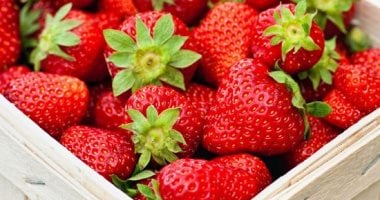 لماذا يطلق على جيل زد لقب الفراولة؟.. صفات يتمتع بها 