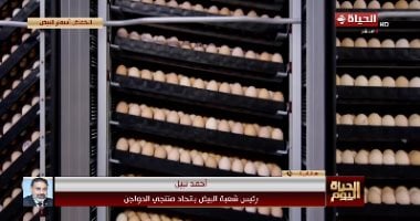 "أحمد نبيل" يكشف الأسباب وتحديات تواجه المنتجين: انخفاض كبير في أسعار البيض