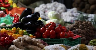 اليوم العالمي لسلامة الأغذية.. الأمراض المنقولة بالطعام قد تكون معدية أو سامة