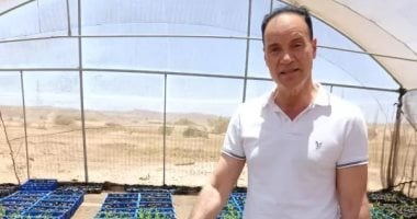 اليوم السابع من قلب غابات المانجروف احتفاء باليوم العالمى للبيئة.. ملحمة الصمود الأخضر لمواجهة غضب المناخ.. سيناريوهات الاستزراع والإكثار بسواحل البحر الأحمر للحماية من الغرق وتآكل الشواطئ وإنتاج الكربون