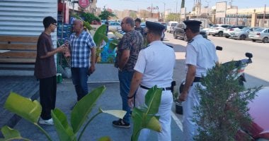 حملات مكثفة بحى ثالث الإسماعيلية لمراجعة التراخيص وإزالة الإشغالات.. صور