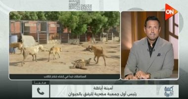 أمينة أباظة لـ كلمة أخيرة: الكلاب الضالة تهدد المواطنين والحلول تحتاج حسما