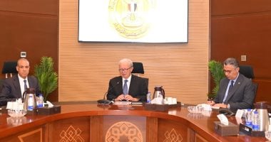 نائب رئيس الوزراء يتابع جهود إعادة هيكلة وحوكمة الشركات المملوكة للدولة