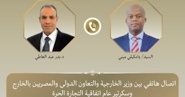 وزير الخارجية يبحث مع سكرتير اتفاقية التجارة الحرة الأفريقية دعم الاقتصاد