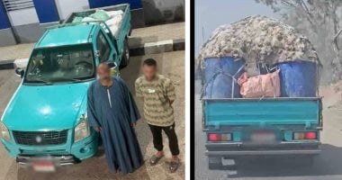 الداخلية تكشف حقيقة حمولة الدواجن النافقة