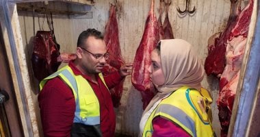 ضبط 1.5 طن أسماك غير صالحة و322 كيلو لحوم ومواد غذائية بكفر الشيخ.. صور 