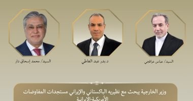 وزير الخارجية يبحث مع باكستان وإيران