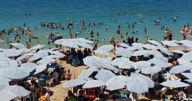إقبال على شواطىء الإسكندرية 