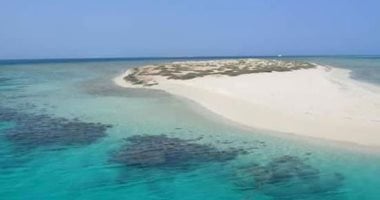 جزيرة شواريت جوهرة البحر الأحمر .. درة طبيعية تتلألأ جنوب مرسى علم 