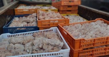 ضبط أكثر من نصف طن دواجن فاسدة بمطعم شهير بالفيوم