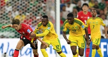 مباراة جنوب أفريقيا وكوريا الجنوبية فى كأس العالم