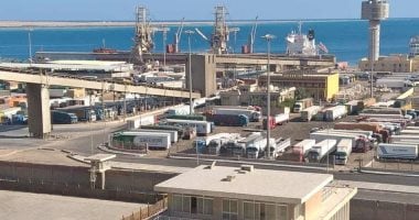 تداول 13 ألف طن و670 شاحنة بضائع عامة ومتنوعة بموانئ البحر الأحمر