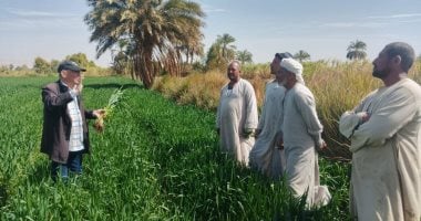 زراعة الأقصر تدعم المزارعين عبر 16 ندوة توعوية وحقلية.. وكيل الوزارة: حسم وإنجاز 22 شكوى من أصل 26 بنسبة إنجاز 85%.. وتوفير حصص تقاوي معتمدة من الذرة الشامية والرفيعة والسمسم وتقاوي فول الصويا.. صور 