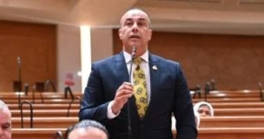 النائب محمد بلتاجي يطالب بمنظومة تظلمات عادلة لوقف الحذف التعسفي من التموين 