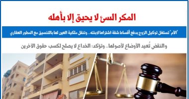 النقض تتصدى لاستغلال الزوجات لتوكيلات الأزواج: الخداع لا يصلح لكسب حقوق الآخرين