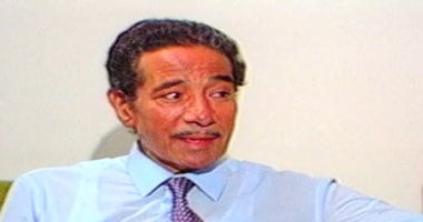 محمد الموجي