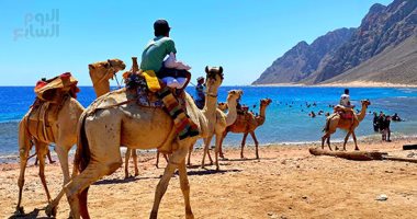 مغامرات بين الجبال.. سحر رحلات السفارى فى مدينة دهب