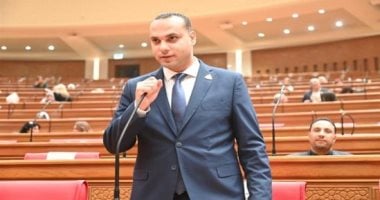 برلماني: شريحة الطفل و"اطمن" و"اطمن على الآخر" تدعم الاستخدام الآمن للإنترنت