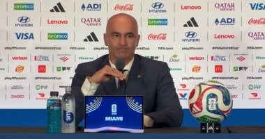 روبرتو مارتينيز المدير الفني لمنتخب إسبانيا