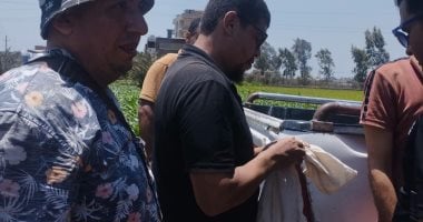 فريق متخصص في صيد الثعابين