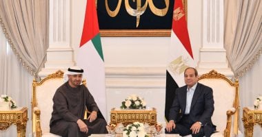 الرئيس عبد الفتاح السيسي والشيخ محمد بن زايد