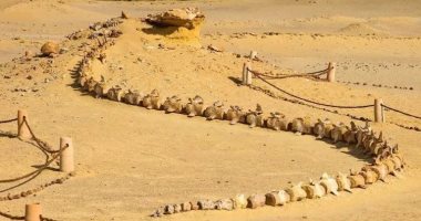 6 معلومات عن محمية وادى الحيتان بالفيوم.. كنز طبيعى عمره 40 مليون سنة
