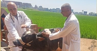 كلية الطب البيطرى بجامعة الزقازيق تطلق خطتها السنوية للقوافل البيطرية المجانية