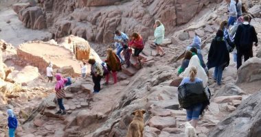 435 سائحا وزائرا من جنسيات مختلفة لزيارة دير سانت كاترين