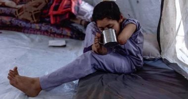 الطفلة الفلسطينية سارة البرش