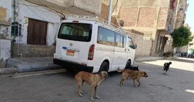 استجابة لشكاوى الأهالي.. بيطري قنا يدفع بحملة للتعامل مع الكلاب الضالة بمنطقة العبابدة