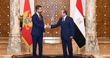 الرئيس السيسى يجدد رفض مصر للاعتداءات غير المبررة على الدول العربية الشقيقة