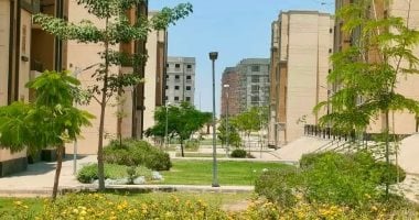 الإسكان الأخضر.. رئيس جهاز مدينة العبور الجديدة: يستهدف تحسين المشهد البصرى وإضفاء طابع جمالى وشبكات لري الحدائق والمسطحات الخضراء لضمان استدامتها.. تنسيق الموقع العام يترجم الرؤية ويوفر بيئة صحية ونقية للسكان