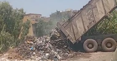 ​كارثة بيئية.. سيارة تابعة لمدينة السنطة تلقى القمامة على جسر بحر شبين