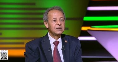 أستاذ تاريخ: رفض مصر الاعتداء على أى دولة عربية امتداد لنهجها منذ ثورة يوليو