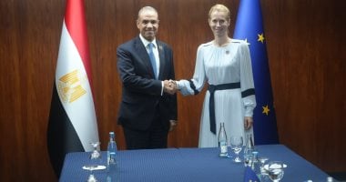 وزير الخارجية يستعرض مع مسؤولة أوروبية أعباء مصر الاقتصادية لاستضافتها ملايين الأجانب