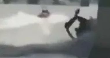 الزورق 