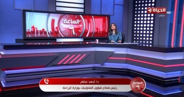 الزراعة: الكتان المصري في طريقه لاستعادة مكانته العالمية
