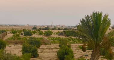 أجواء معتدلة بشمال سيناء اليوم الاثنين.. الحرارة 32 درجة بوسط المحافظة